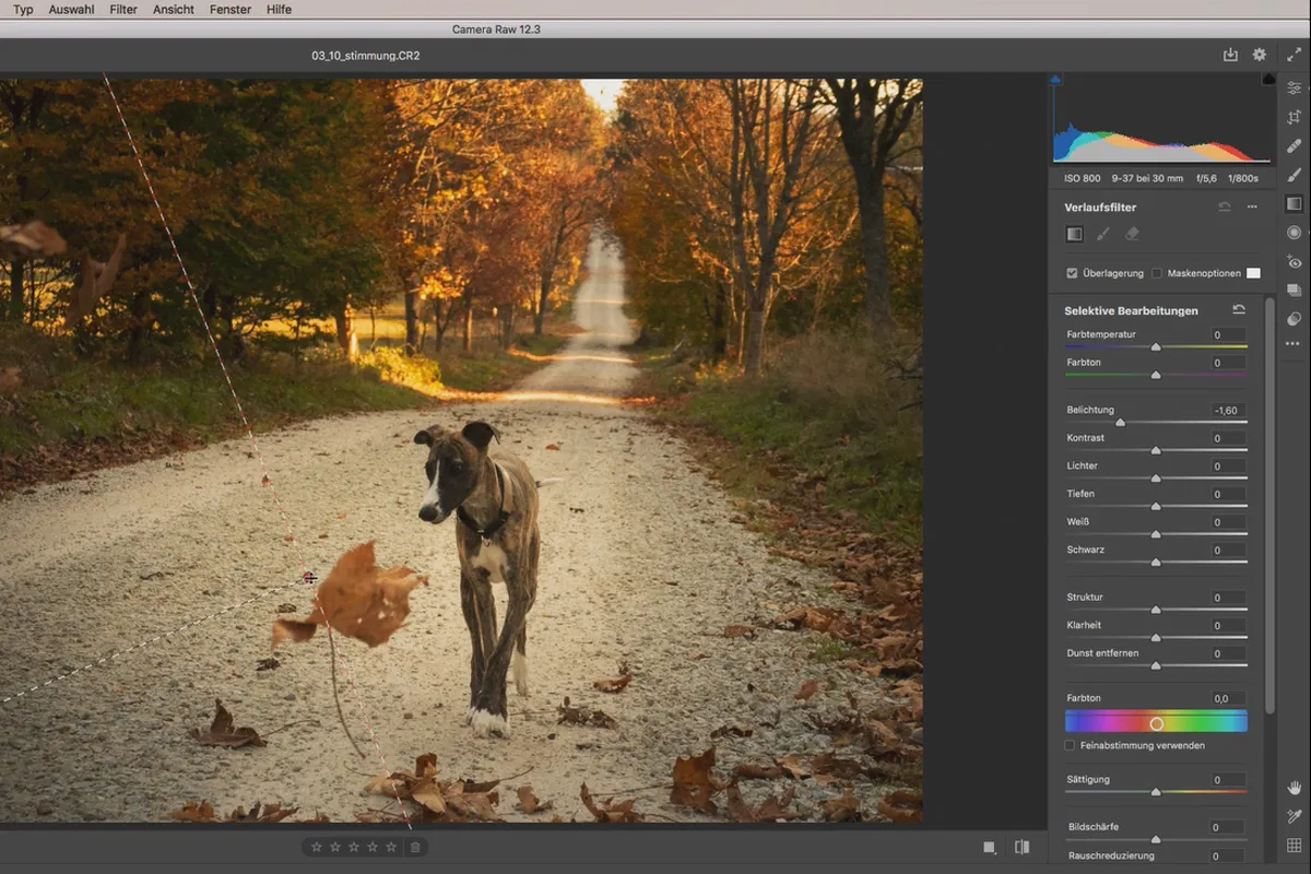Camera Raw-guide: 3.10 | Stemningsjustering