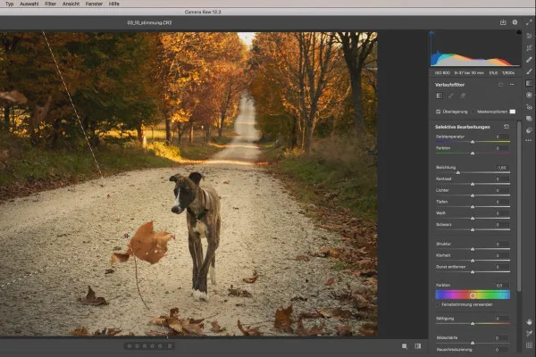 Camera Raw-guide: 3.10 | Stemningsjustering