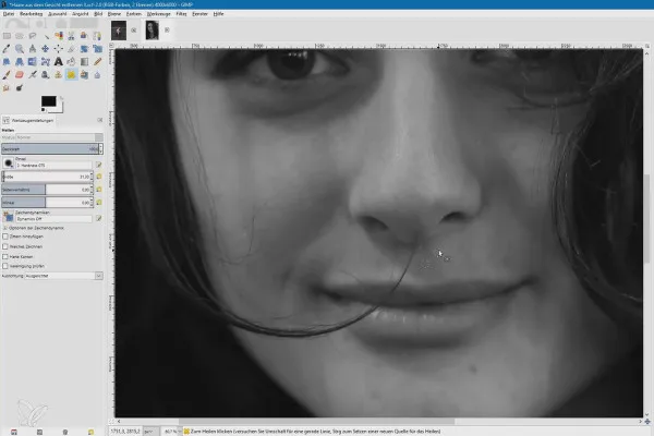 Bildbearbeitung mit GIMP: das Praxis-Tutorial – 23 Haare aus Gesicht entfernen