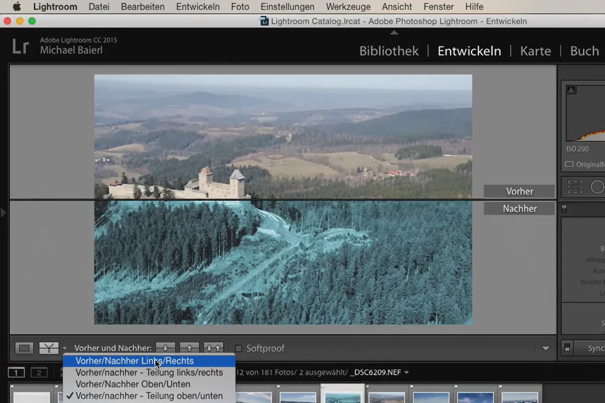 Lightroom für Einsteiger und Aufsteiger: 05 - Bilder entwickeln - 5.3 - Vorher/Nachher-Vergleich