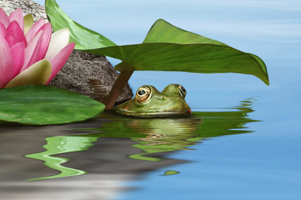 Reklameplakat Lotus Te - Del 04 - Indsæt og tilpas sammensætningsobjekter til omgivelserne