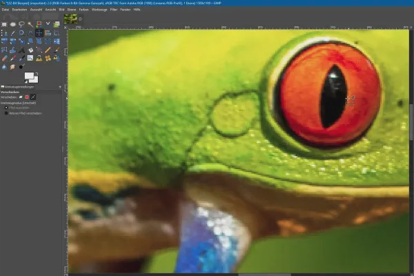 Nuove funzioni in GIMP 2.10: Zoom strumento