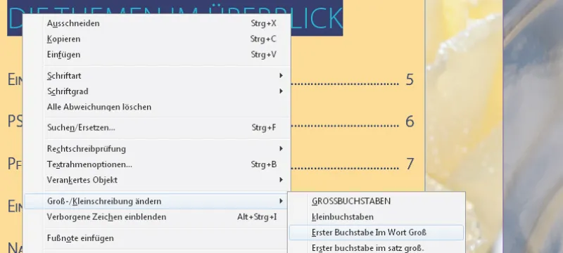 "InDesign" kontekstinis meniu