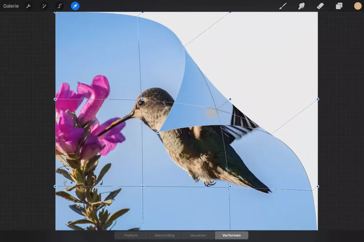 Procreate-Tutorial – Grundlagen zum digitalen Zeichnen auf dem iPad: 4.2 | Transformation