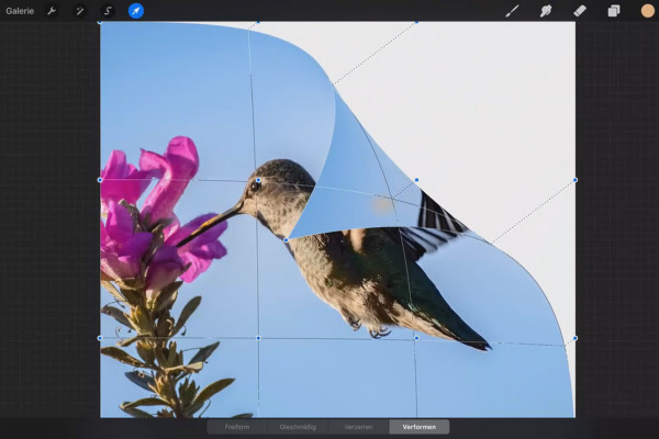 Procreate-tutorial – Grunderna för digital ritning på iPaden: 4.2 | Transformation