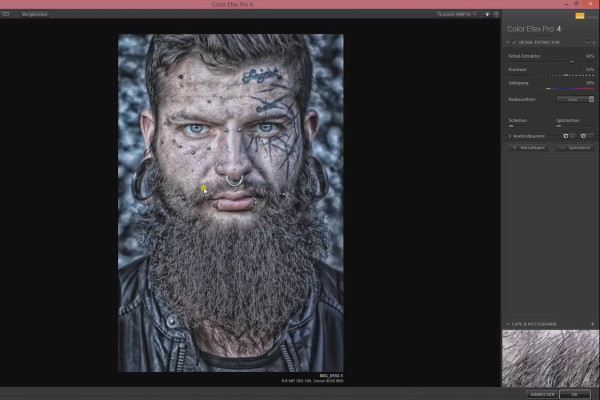 Nik Collection - Looks & Styles met Color Efex Pro 4: 25 Detail Extractor