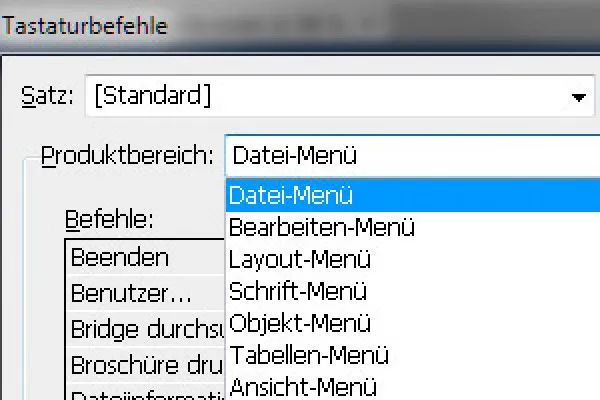"InDesign" sparčiųjų klavišų kombinacijos