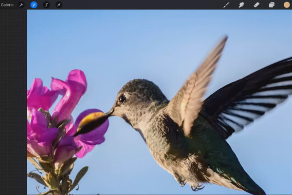 Procreate-Tutorial – Grunder för digitalt måleri på iPad: 4.3 | Förvätska
