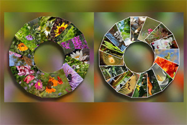 Photoshop-åtgärd: Foto cirkel