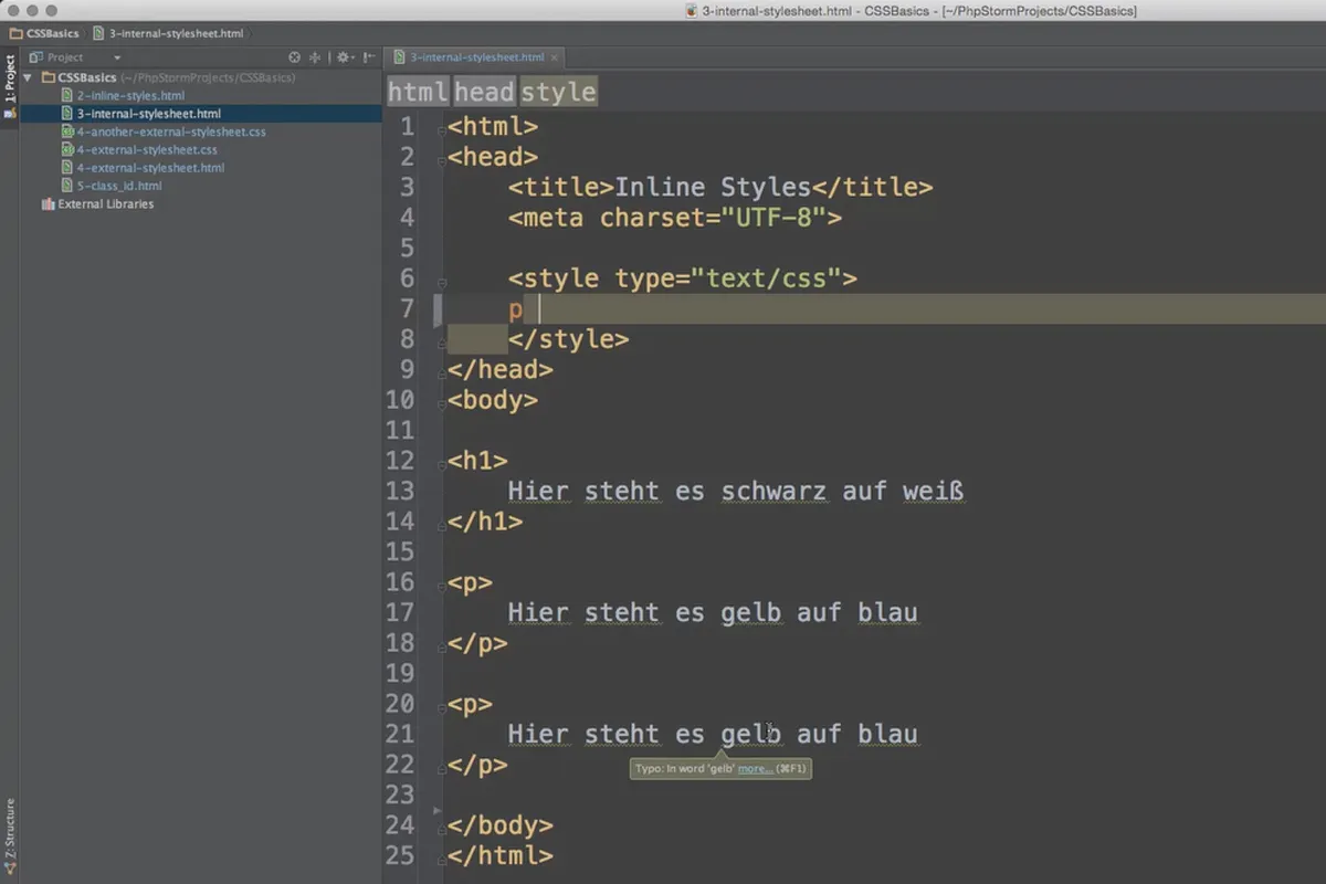 Grundlagen HTML, CSS und JavaScript – 26 Internal Style Sheets