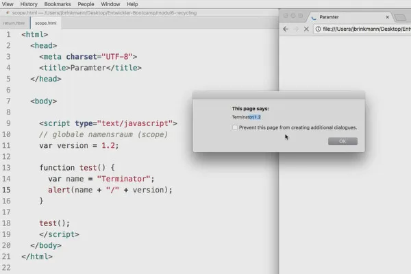 Programmazione software per principianti: 6.4 Sfida: Conoscere i campi di validità