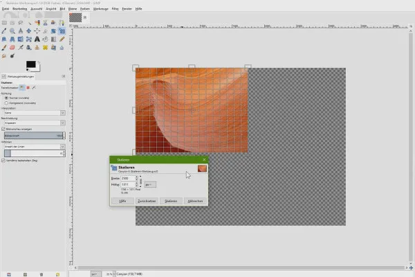 Elaborazione dell'immagine con GIMP: il tutorial per principianti - 26 Strumento di scalatura