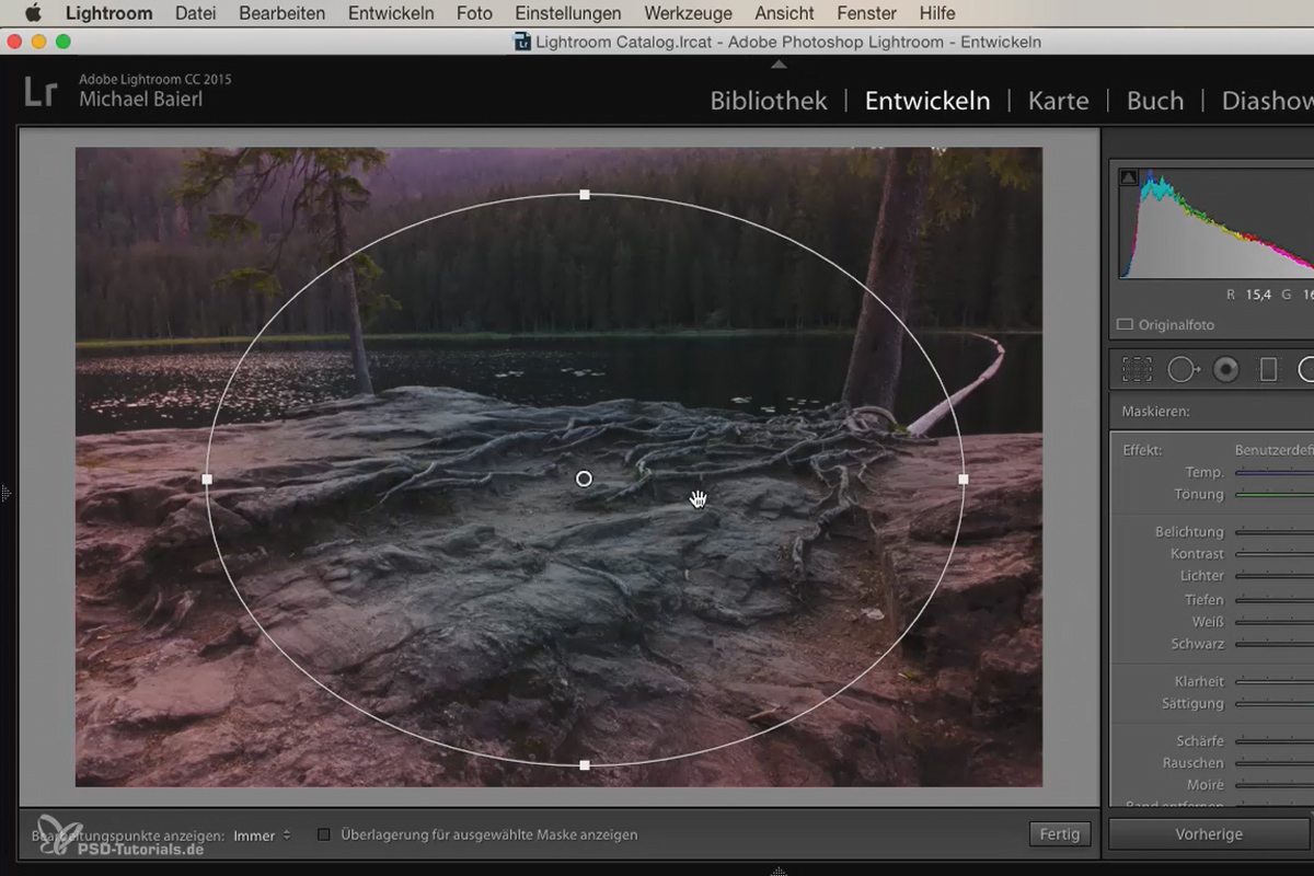 Lightroom para principiantes e intermedios: 05 - Revelado de imágenes - 5.6 - Herramientas de revelado