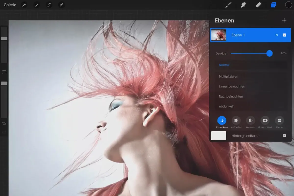 Procreate-Tutorial – Grundlagen zum digitalen Zeichnen auf dem iPad: 4.4 | Filter