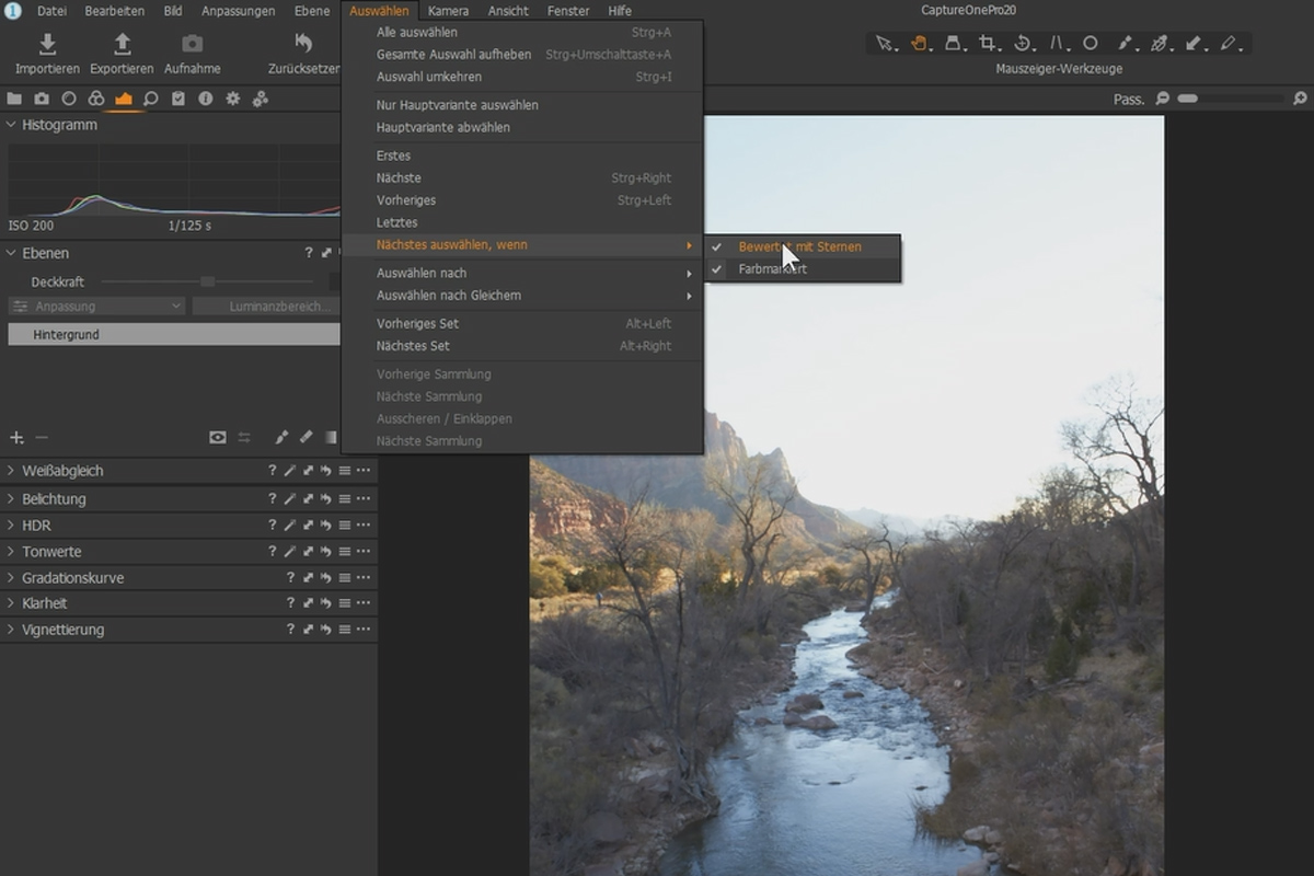 Capture One Pro 20-Tutorial: 5.2 | Comfortabeler beeldbeheer