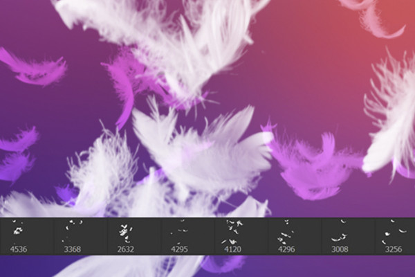 Photoshop ve diğer programlar için fırçalar: Tüy desenleri 2