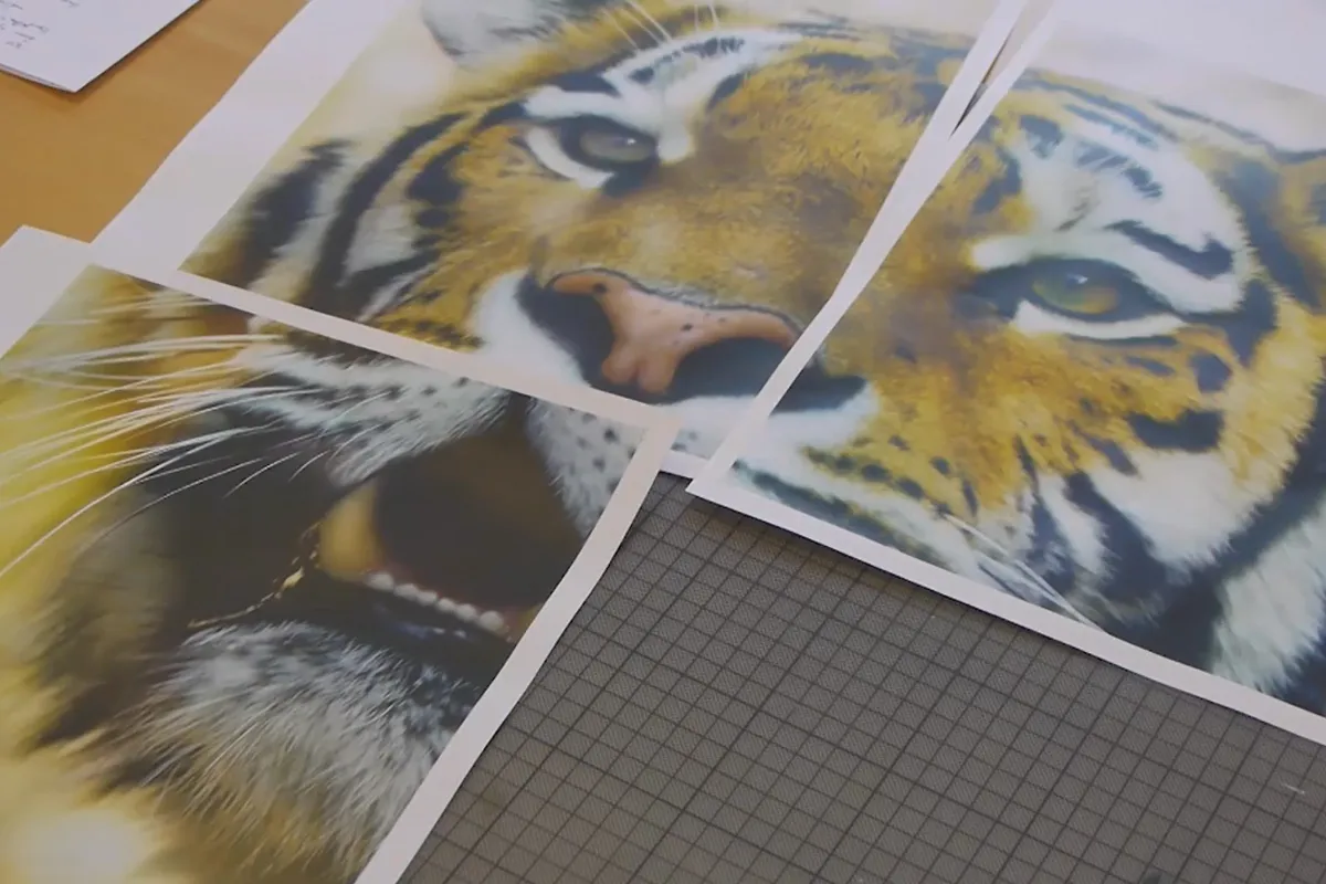 Digital bildebehandling for Airbrush-kunstnere: Utskrift – plakattrykk.