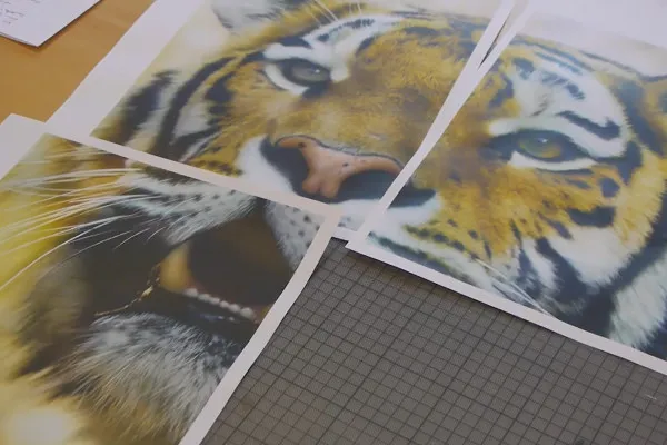 Digitale Bildbearbeitung für Airbrush-Künstler: Druckausgabe – Posterdruck