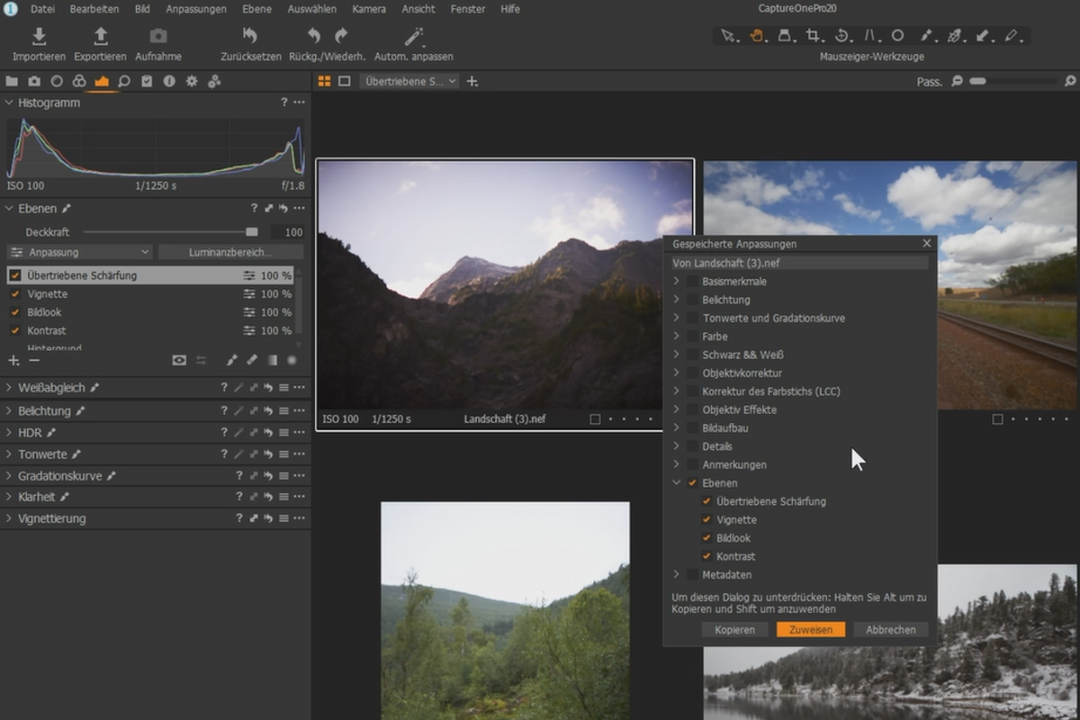 Capture One Pro 20-Tutorial: 5.3 | Lagen selectief kopiëren