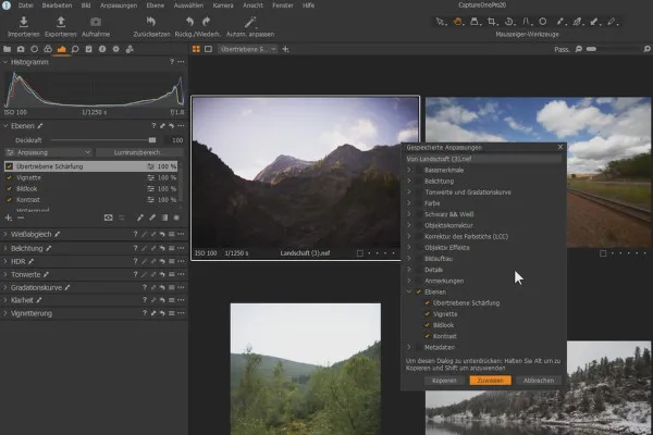 Capture One Pro 20-Tutorial: 5.3 | Ebenen selektiv kopieren