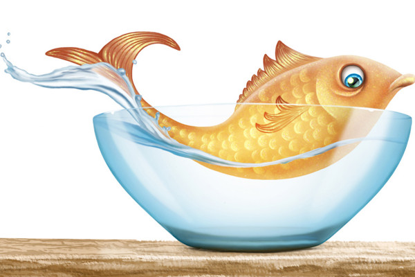 Illustration - På fiskejagt! - Del 3 - Mal fiskene - Final