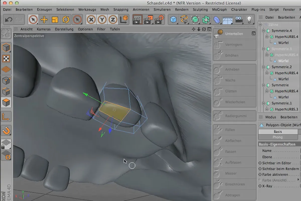 Sculpting in CINEMA 4D - Kreativtraining: Teil 14 - Zähne