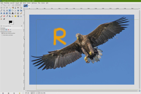 Image editing with GIMP: the tutorial for beginners - 28 Mirror tool