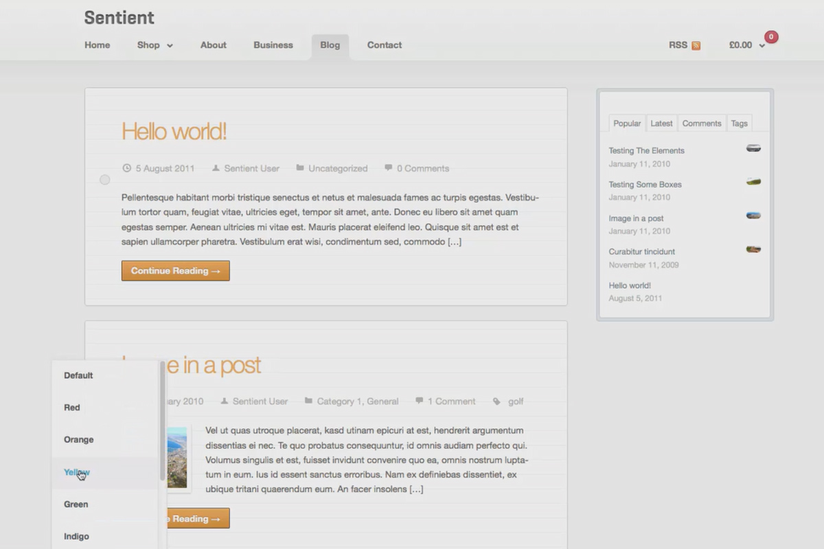 Gagner de l'argent avec la formule AdSense - 6.2 Configurer un thème
