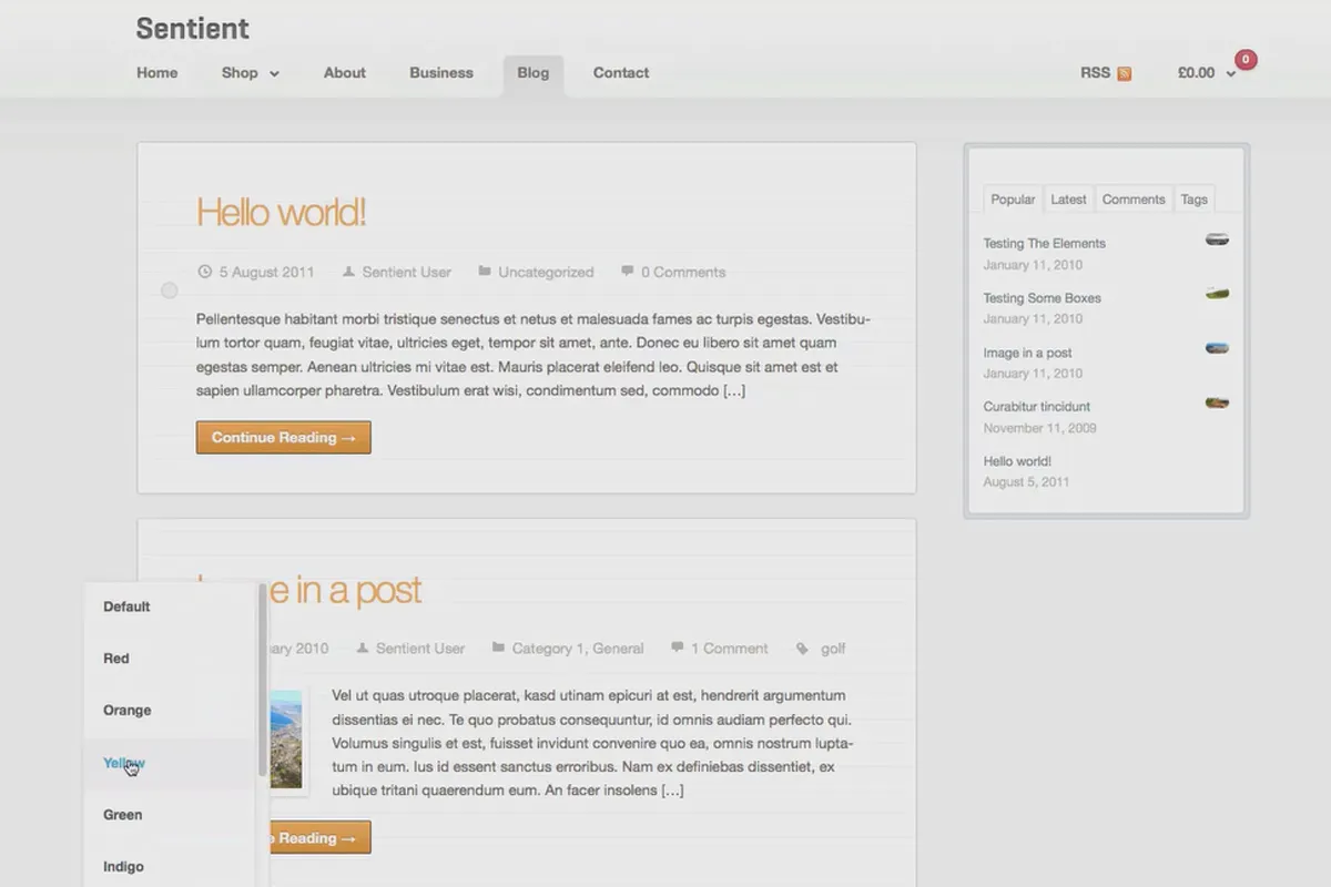 Tjen penge med AdSense-formlen - 6.2 Angiv et tema