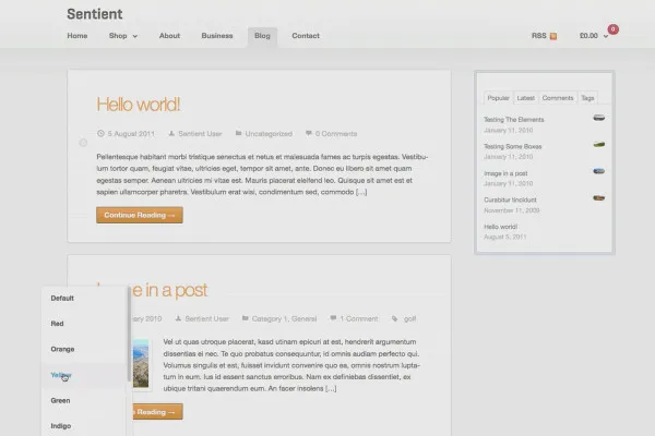 Tjen penge med AdSense-formlen - 6.2 Angiv et tema