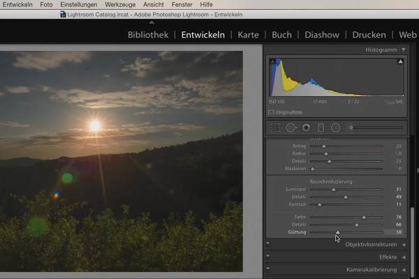 Lightroom pour débutants et amateurs avancés : 05 - Développer des images - 5.9 - Réduire le bruit