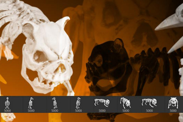 Halloween images as Photoshop brushes: animal skeletons