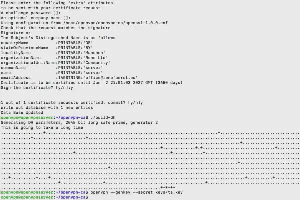 OpenVPN anlamak ve kurmak - güvenli ağda: 5.5 Sunucu Sertifikaları Oluşturma