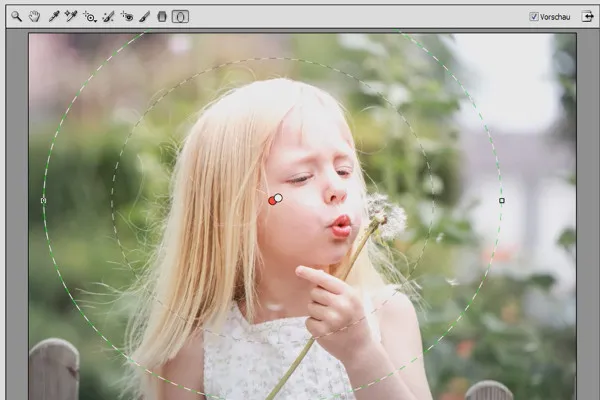 Neues in der Creative Cloud: Photoshop CC 14 (Juni 2013) – 05 Camera Raw 8