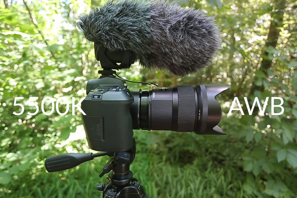 Videografikurs: 6.5 | Hvidbalance under optagelse.