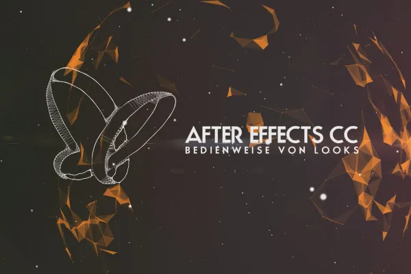After Effects: Plug-in Magic Bullet Looks (1/4) – Bedienweise