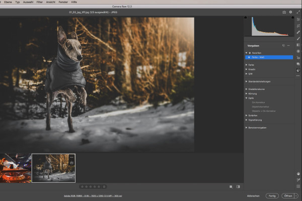 Tutorial Camera Raw: 1.2 | Introduzione