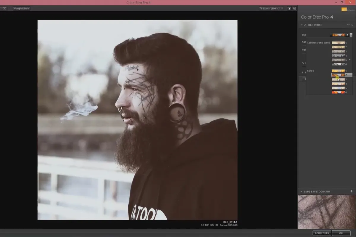 Nik Collection – Looks & Styles mit Color Efex Pro 4: 33 Old Photo