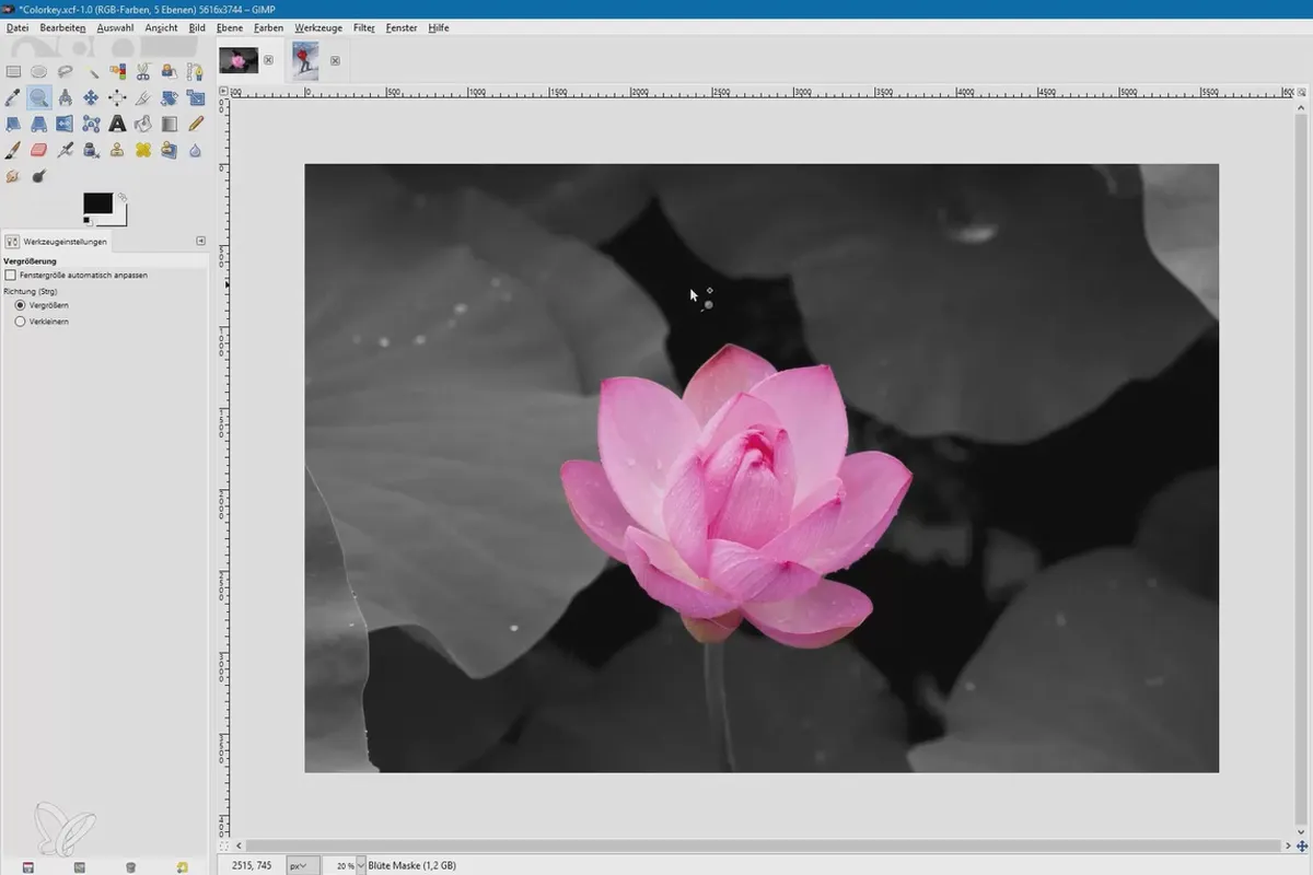 Bildbearbeitung mit GIMP: das Praxis-Tutorial – 33 Colorkey