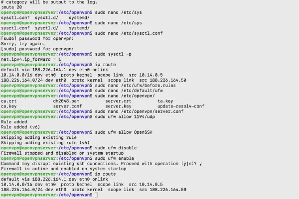 OpenVPN'u anlamak ve yapılandırmak - ağda güvenli: 5.9 OpenVPN servisini başlatma