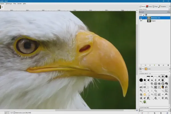 Obdelava slik z GIMP: praksični priročnik - 34 slikoviti videz