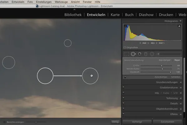 Lightroom für Einsteiger und Aufsteiger: 06 - Retusche-Werkzeuge - 6.3 - Bereichsreparatur