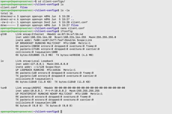 OpenVPN anlamak ve kurmak - ağda güvenli: 5.10 İstemci Yapılandırması