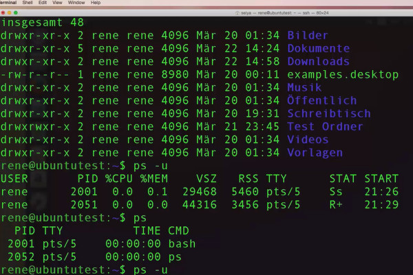 Linux for beginners - 7.1 Owner of files and folders
