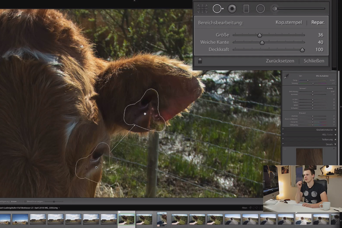 Tutorial de Lightroom Classic CC: 5.3 | Retoque