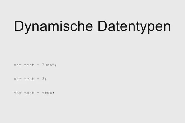 Software-Programmierung für Einsteiger: 7.8 Statische vs. dynamische Datentypen