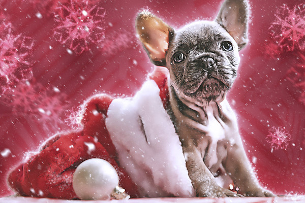 Photoshop-aksjonen "Snøfnuggmagi foran oljefargene