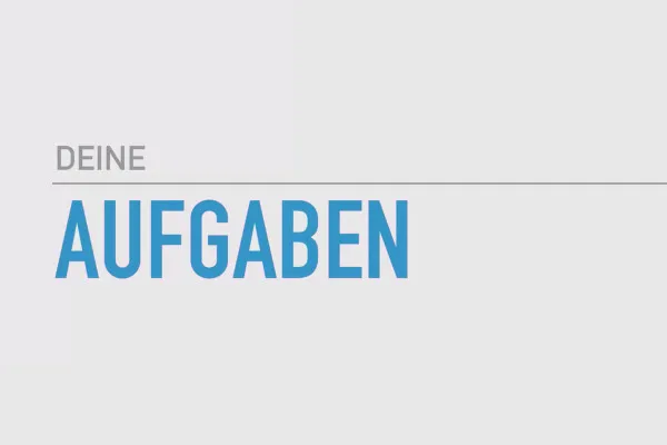 Existenzgründung: als Freelancer erfolgreich durchstarten: 3.10 Aufgaben rund um Finanzen