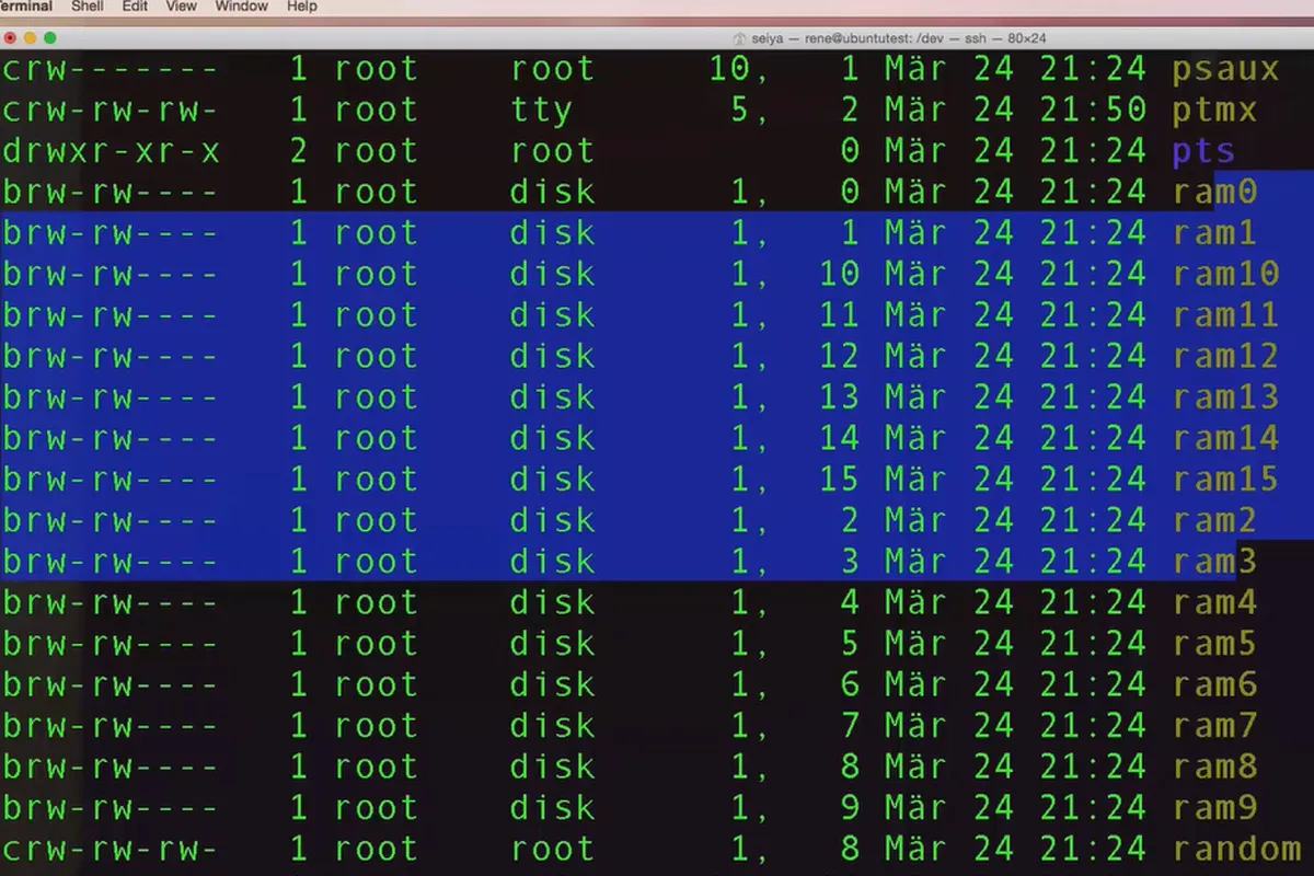 Linux untuk pemula - Mengenali tipe-tipe file 7.3