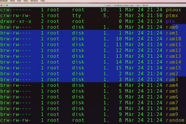 Linux for beginners - 7.3 Recognizing file types